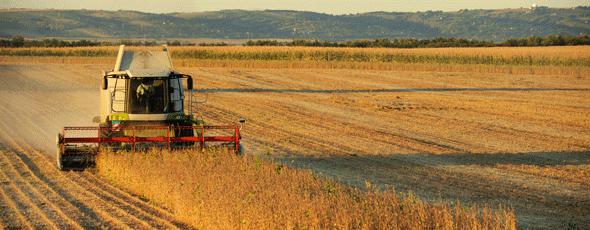 What is field crop cultivation, what is its significance?