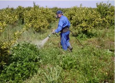 Herbicides for the destruction of weeds: varieties and modes of action