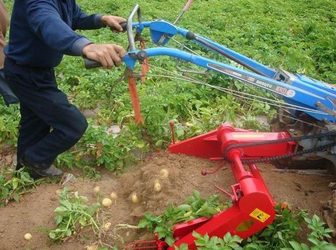 potato-digger to motoblock mtz