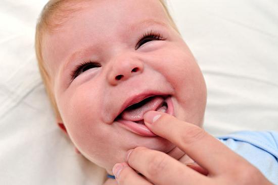 number of baby teeth in a child 6 months