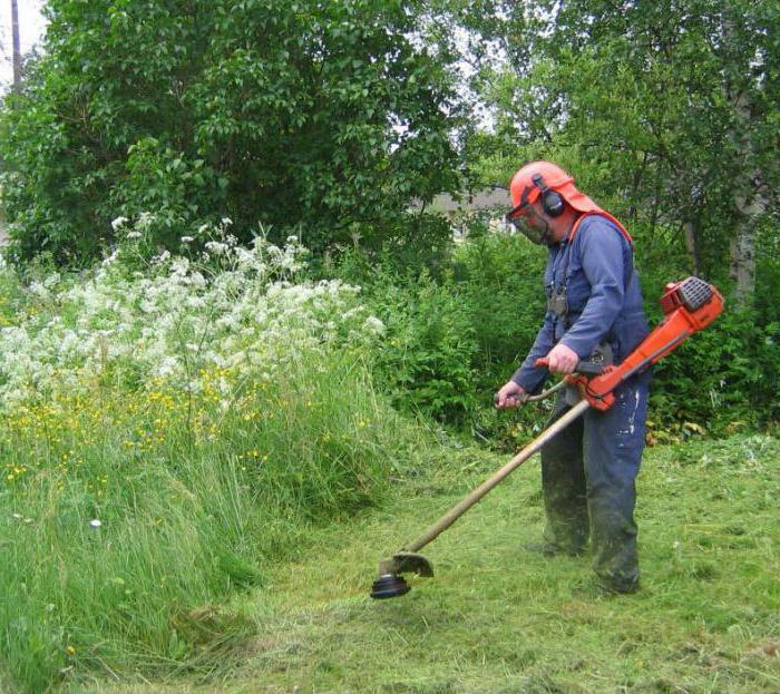 How to mow the grass properly