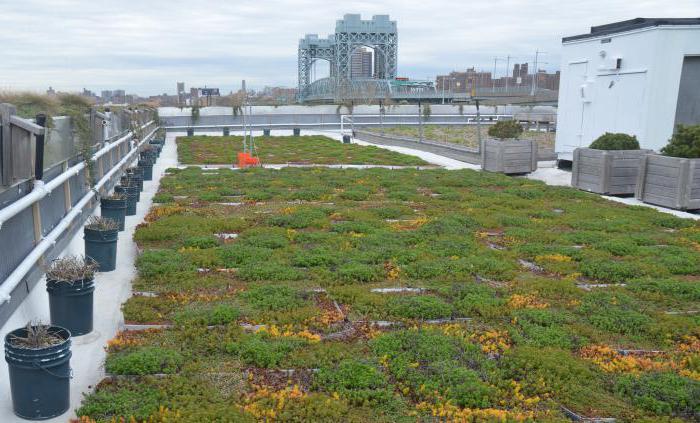 what siding to the green roof 