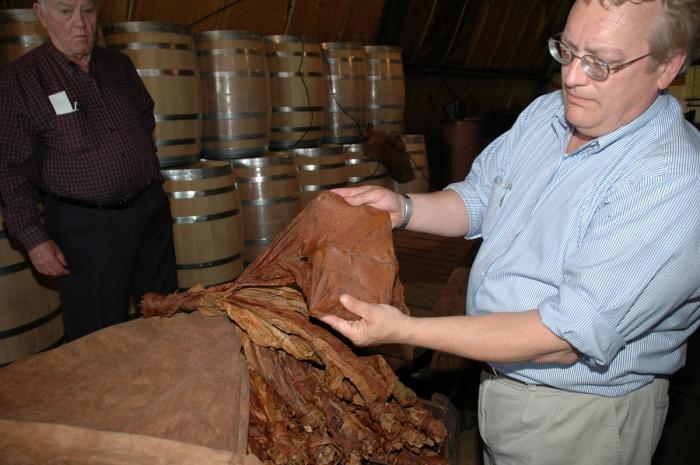 fermentation of tobacco at home