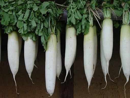 When to clean daikon? How to store daikon?