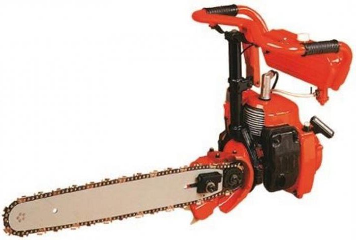 The best chainsaws in Russia: overview, specifications, prices, reviews