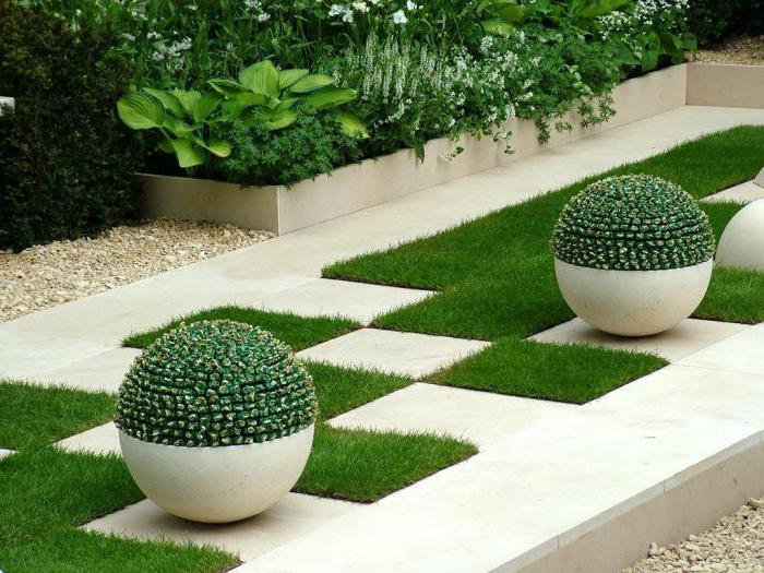 landscape design of the garden