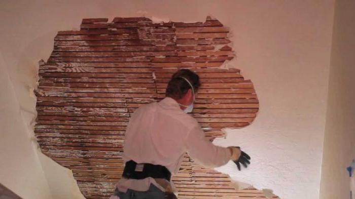 plastering of walls with own hands under wallpaper and painting