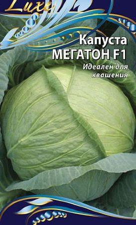 varieties of winter cabbage