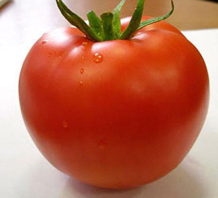 Tomato Linda: a description of two species with the same name