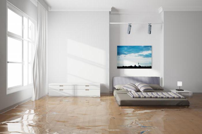 what the flood in the apartment dreams of