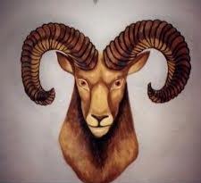 Aries: characteristic of the sign of the zodiac from different sides