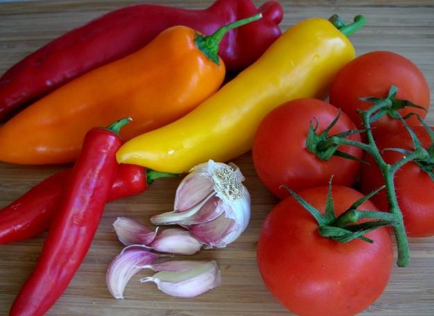 Dishes from courgettes and aubergines