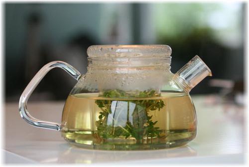 Tea with thyme: useful properties. Properties of thyme in tea