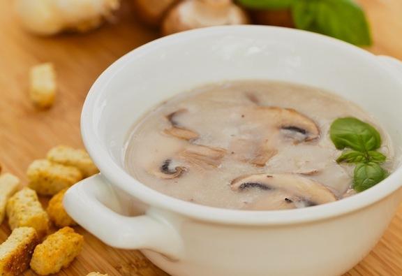 What is mycelium: a soup recipe