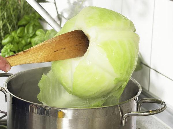 stuffed cabbage with chicken mince recipe