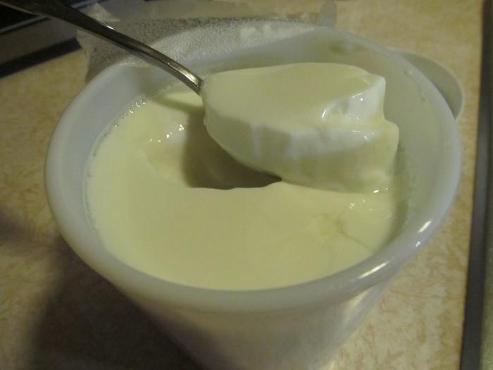 yoghurt in multivark redmond without jars recipe 