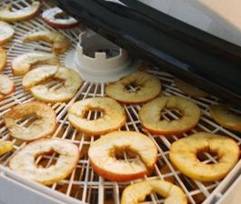 How to dry apples at home: the best ways