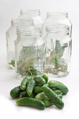 Canned cucumbers for the winter