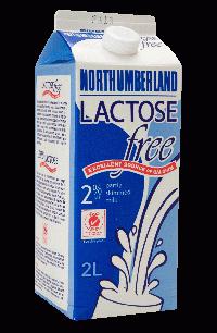 Lactose - what is it?