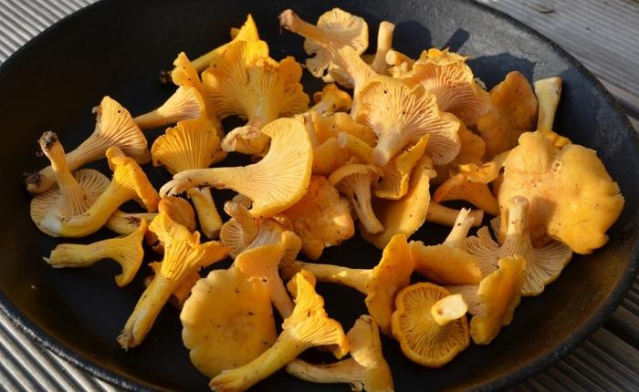 How many fried chanterelles