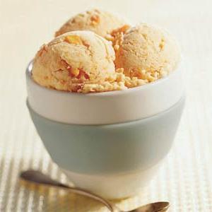 ice cream recipes for ice cream makers