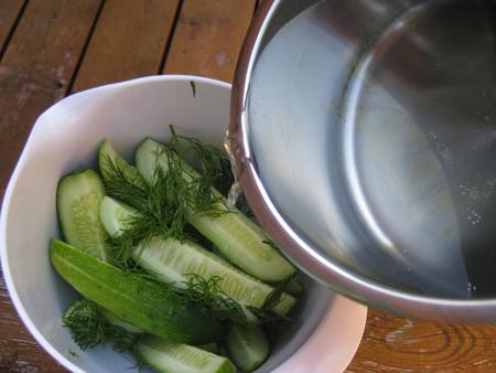 simple recipe for pickled cucumbers