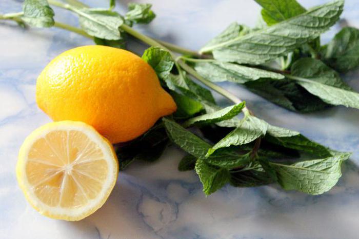 drink of lemon and mint