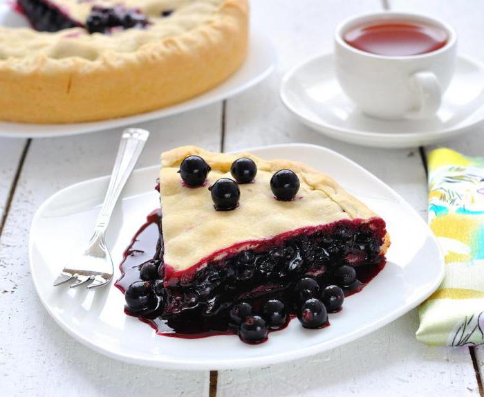 pie with currants in the multivark 