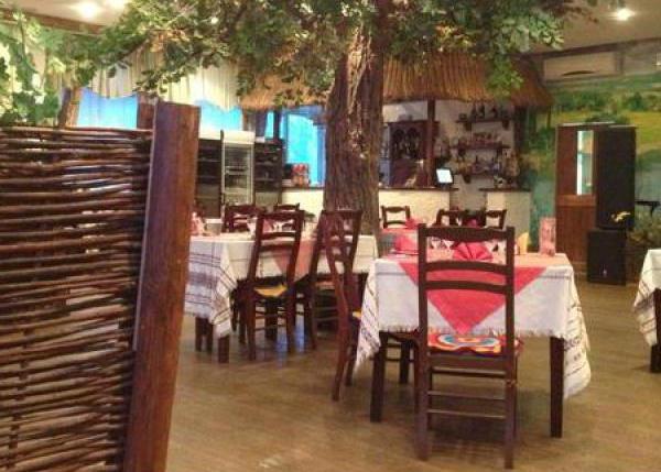 Restaurants of Stavropol: the best restaurants