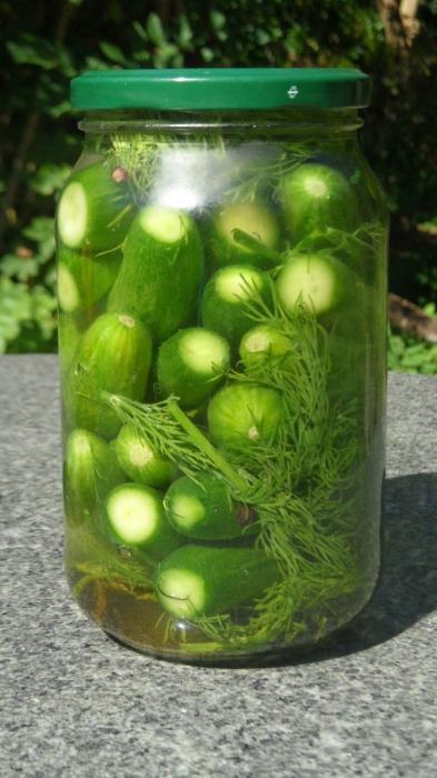 We store cucumbers for the winter. Salt and its subtleties