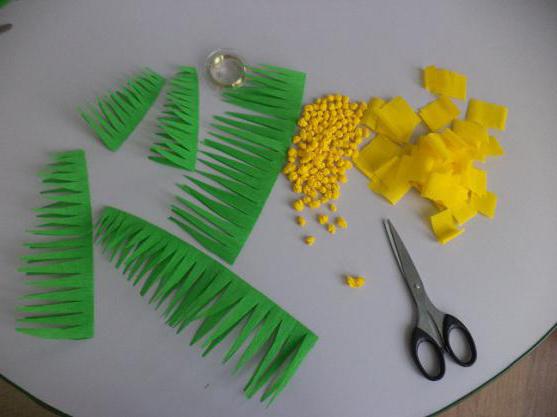 mimosa application in kindergarten 