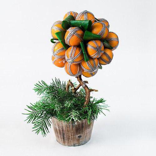 How to create a tangerine tree with your own hands?