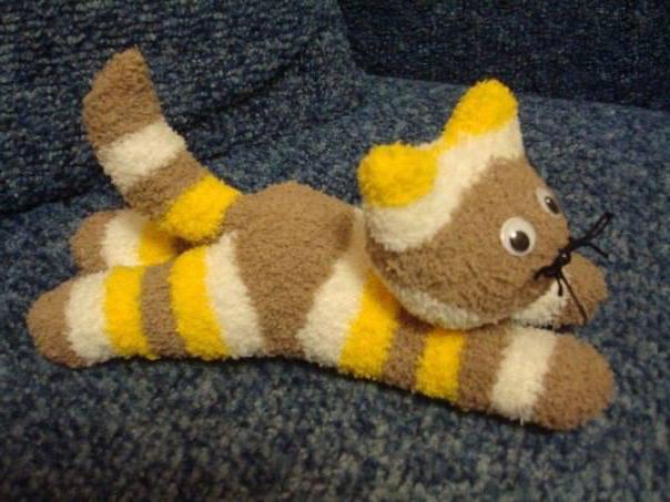 Kitten from the sock with your own hands: a guide to action