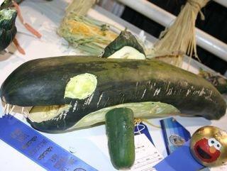 Crafts from a vegetable marrow with their own hands