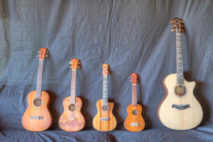 What you need to know in order to adjust the ukulele