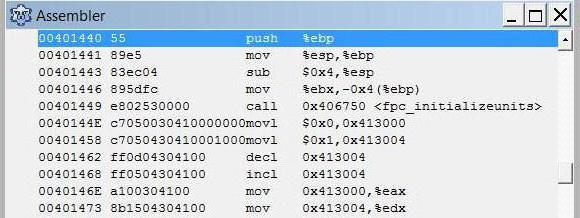 Assembler - a command for beginners of low-level programmers