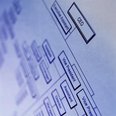 how to draw a diagram in a word