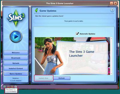 how to install add-on sims 3 instructions and installation sims