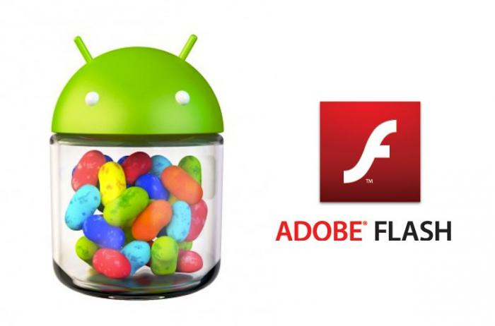 How to install a flash player: detailed description