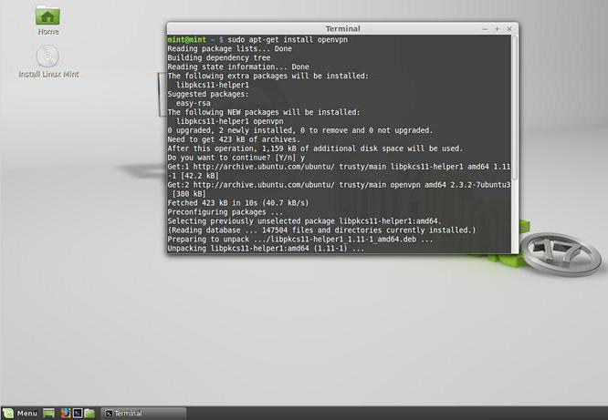 Linux Mint how to install: step-by-step instructions, features and reviews