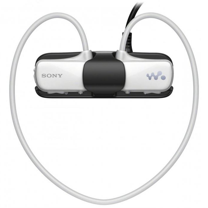 mp3 sony nwz w273