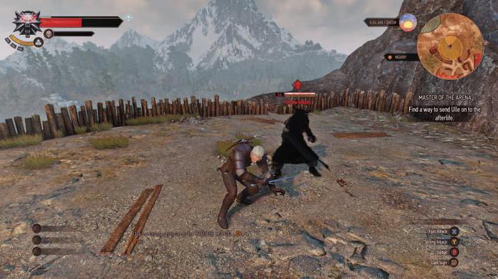 master of arena witcher 3