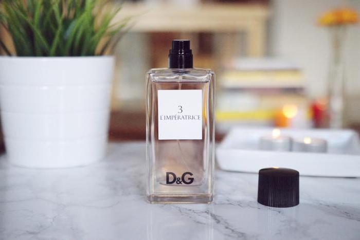 Dolce & Gabbana The One: customer reviews, description of the fragrance and composition