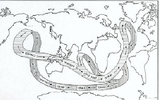 thermohaline flows