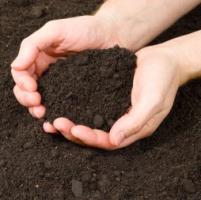 What does the soil consist of? Learn the composition of the soil