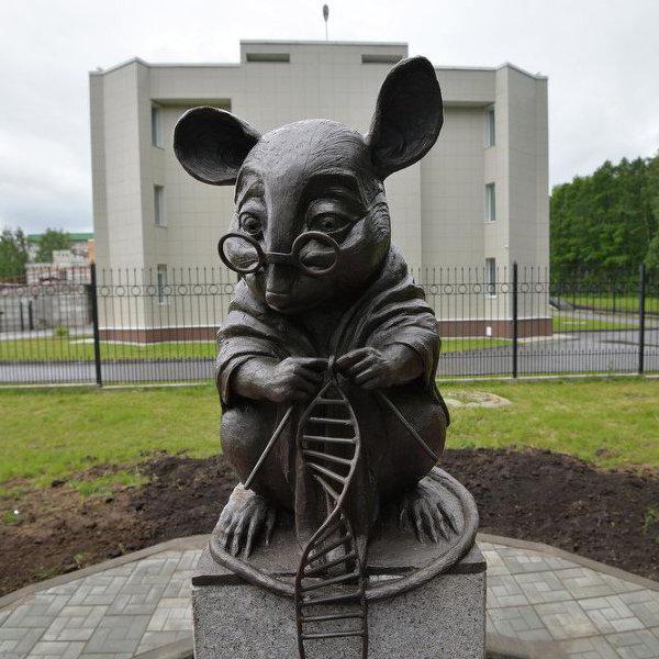 The monument of the laboratory mouse is one of the most original ornaments of Novosibirsk