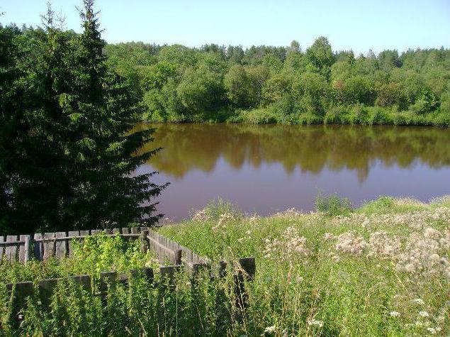 river neya kostroma region