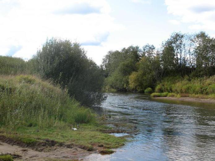 river neja fishing