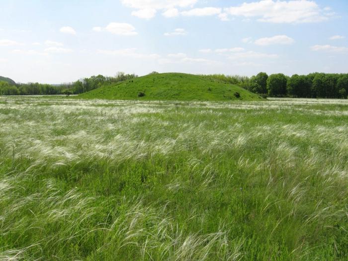 Native expanses. What is the steppe?