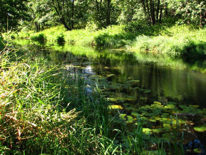 river unzha kostroma region